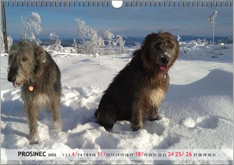 kalendar2022 nahled 12