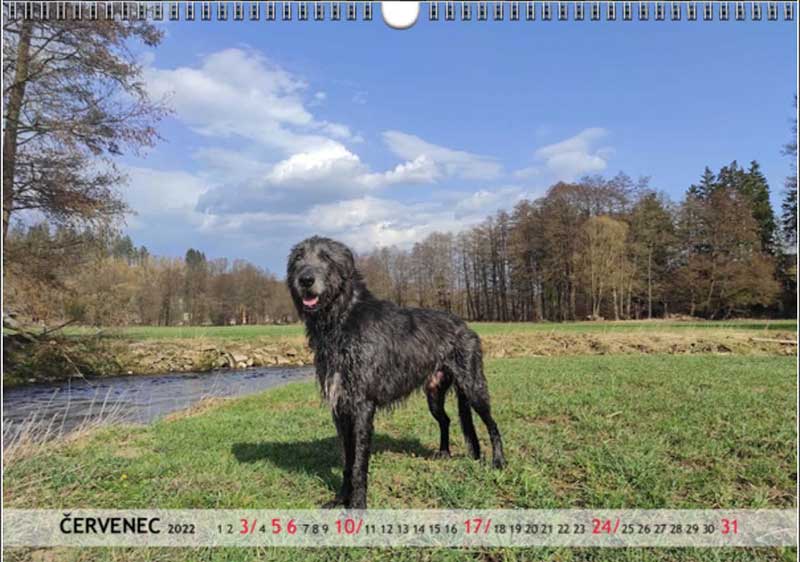 kalendar2022 nahled 7